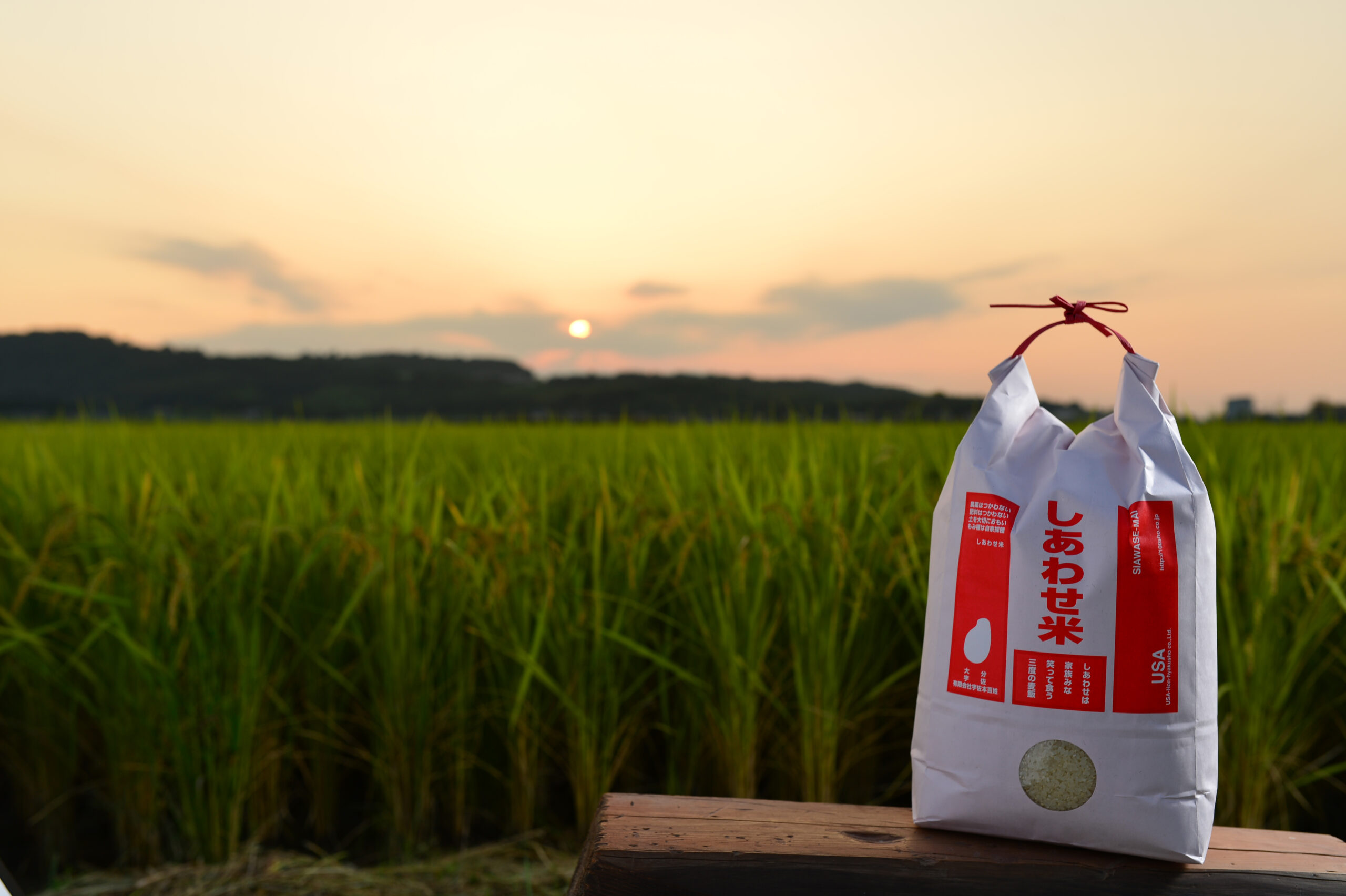 しあわせ米 ― 宇佐本百姓の田んぼ